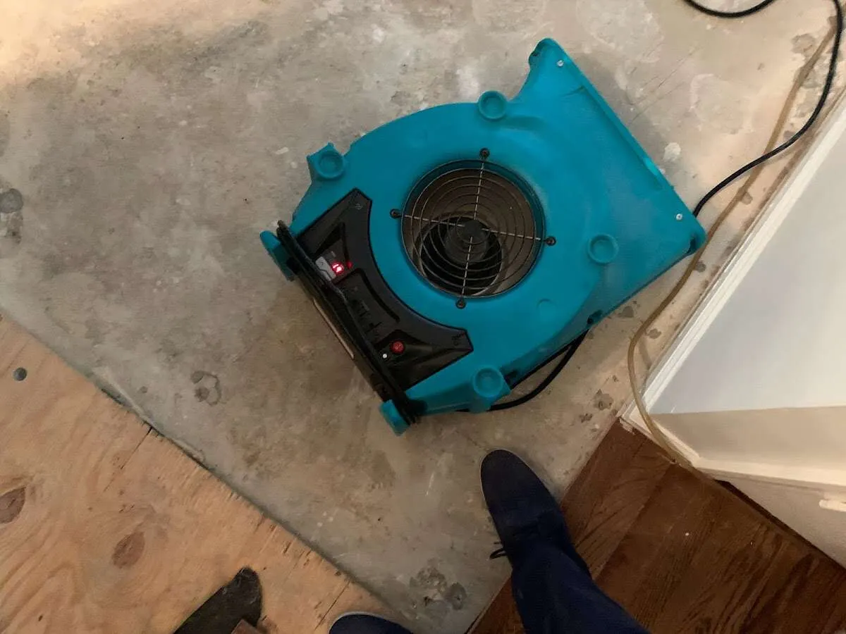 Air mover drying subfloor during Leak Detection & Repair in Minden